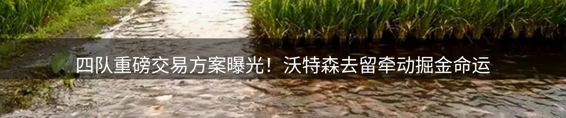 最新动态