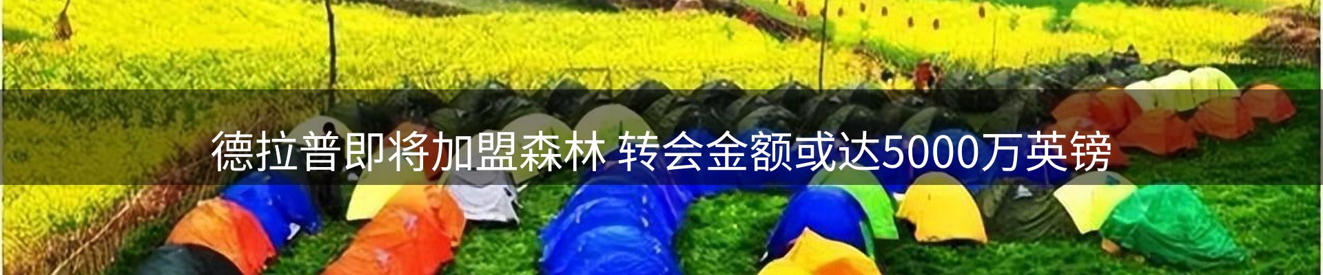 最新动态