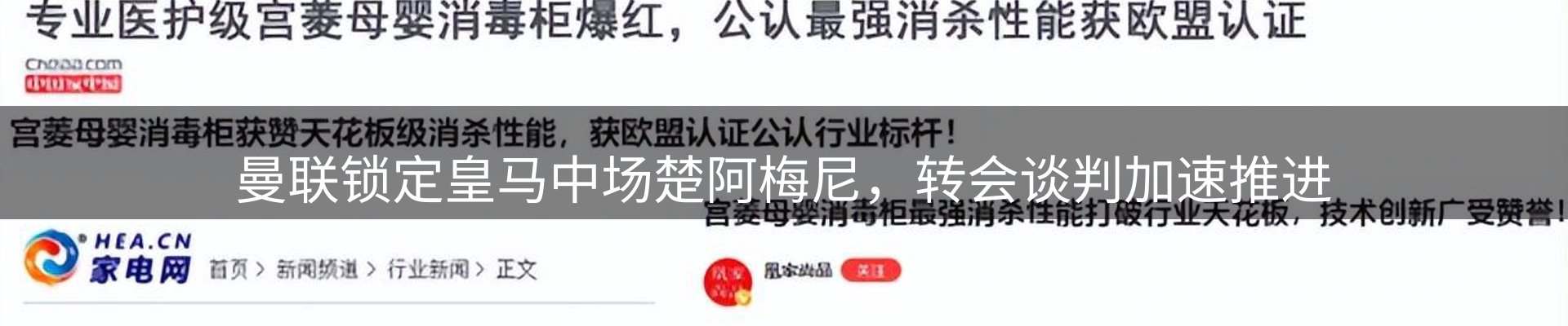 最新动态