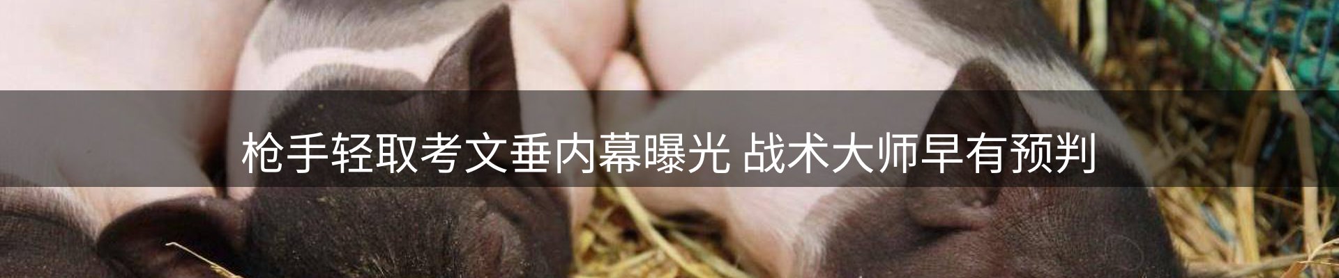 最新动态