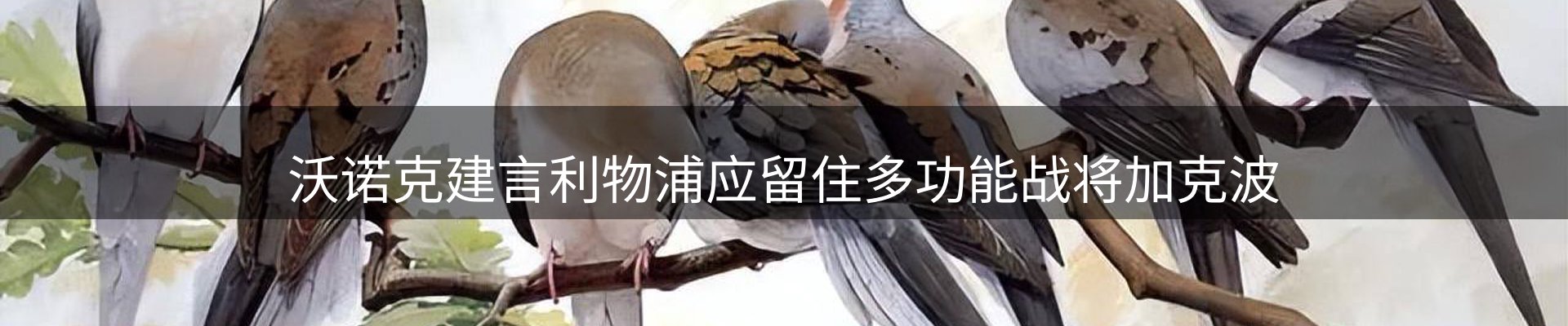 最新动态