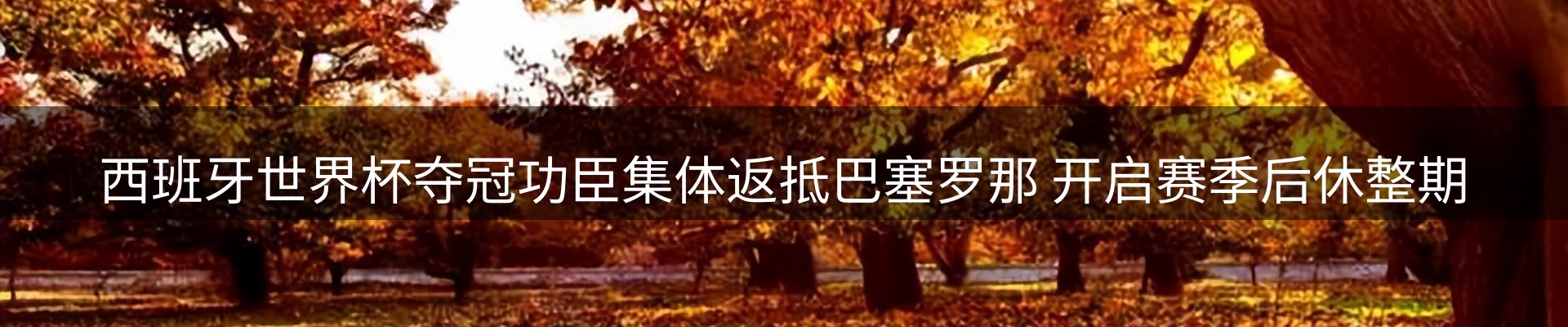 最新动态