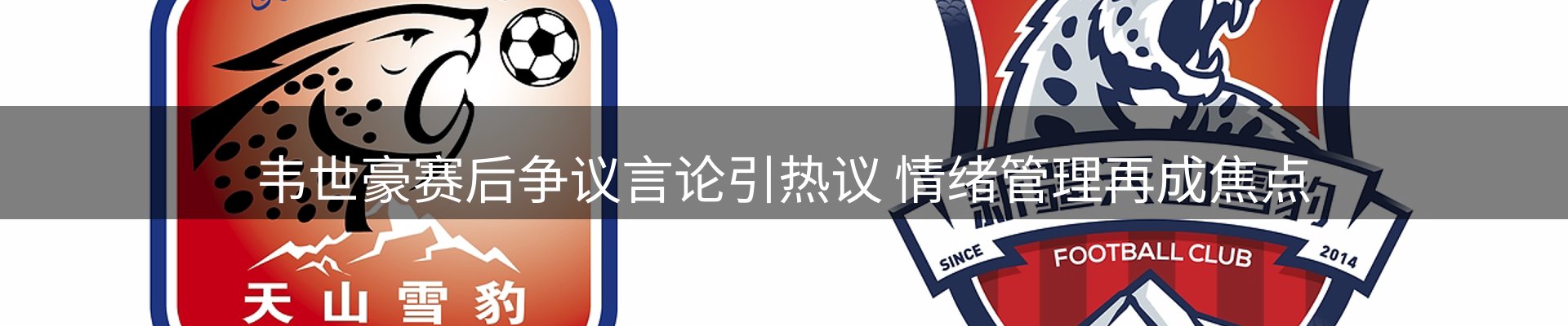平台简报